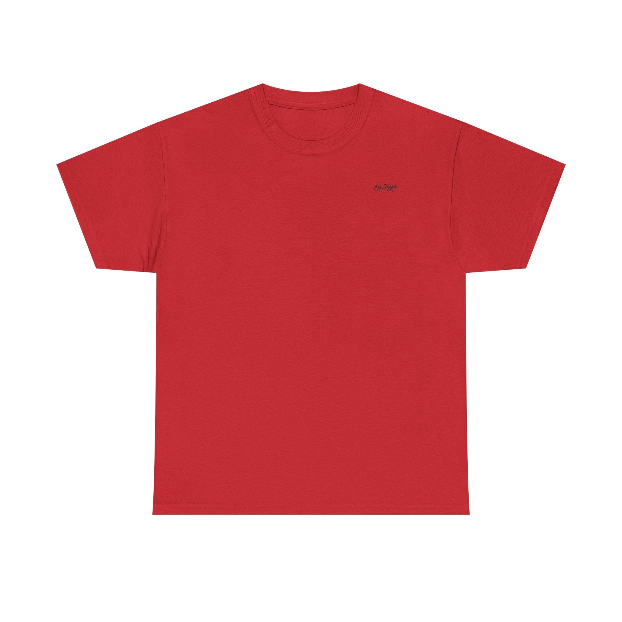 Flag Graphic Tee