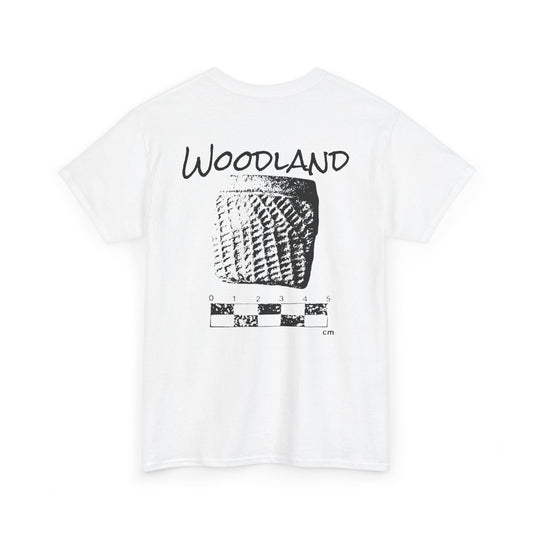 Ole Florida Woodland