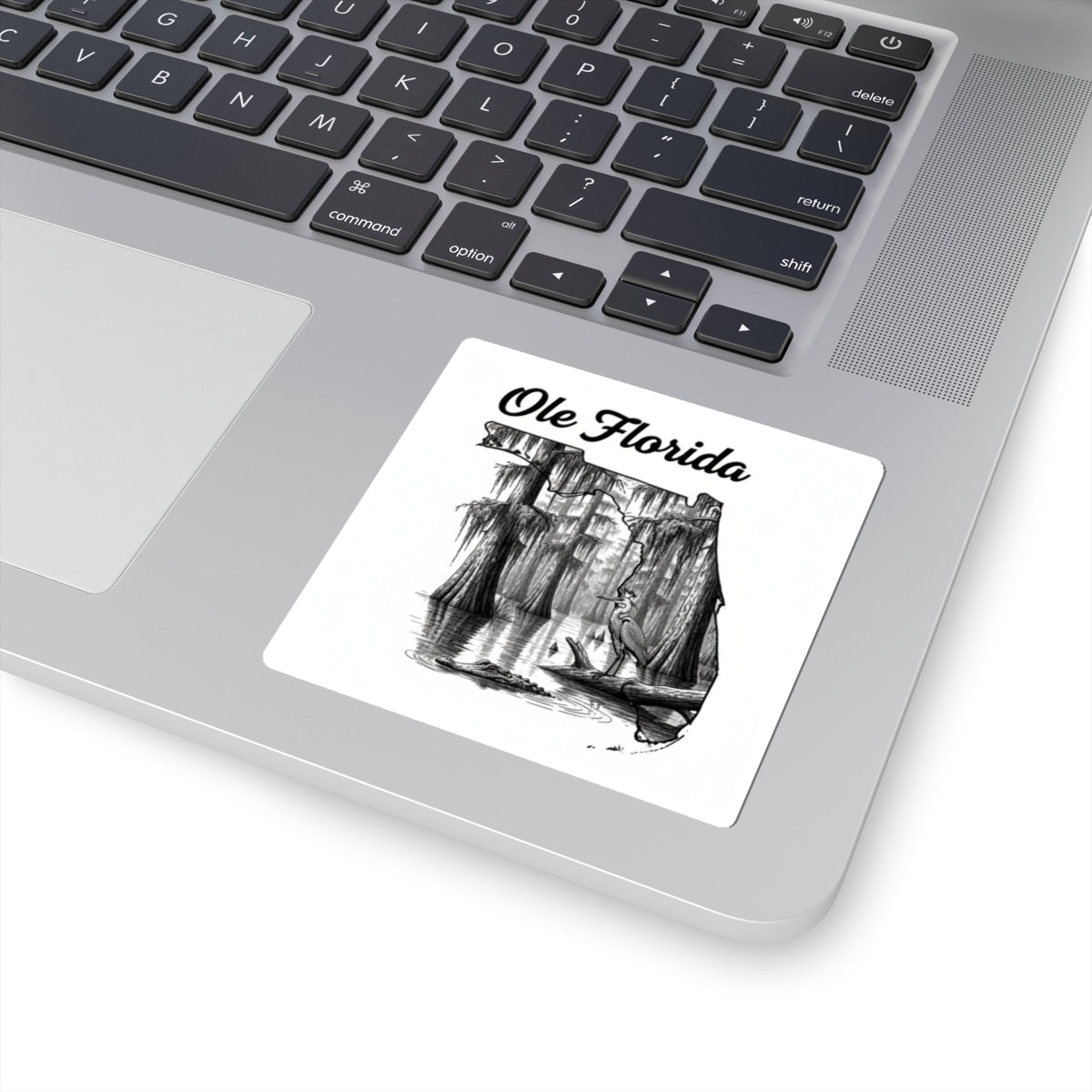 Ole Florida Kiss-Cut Sticker — Scenic Swamp Heron Design