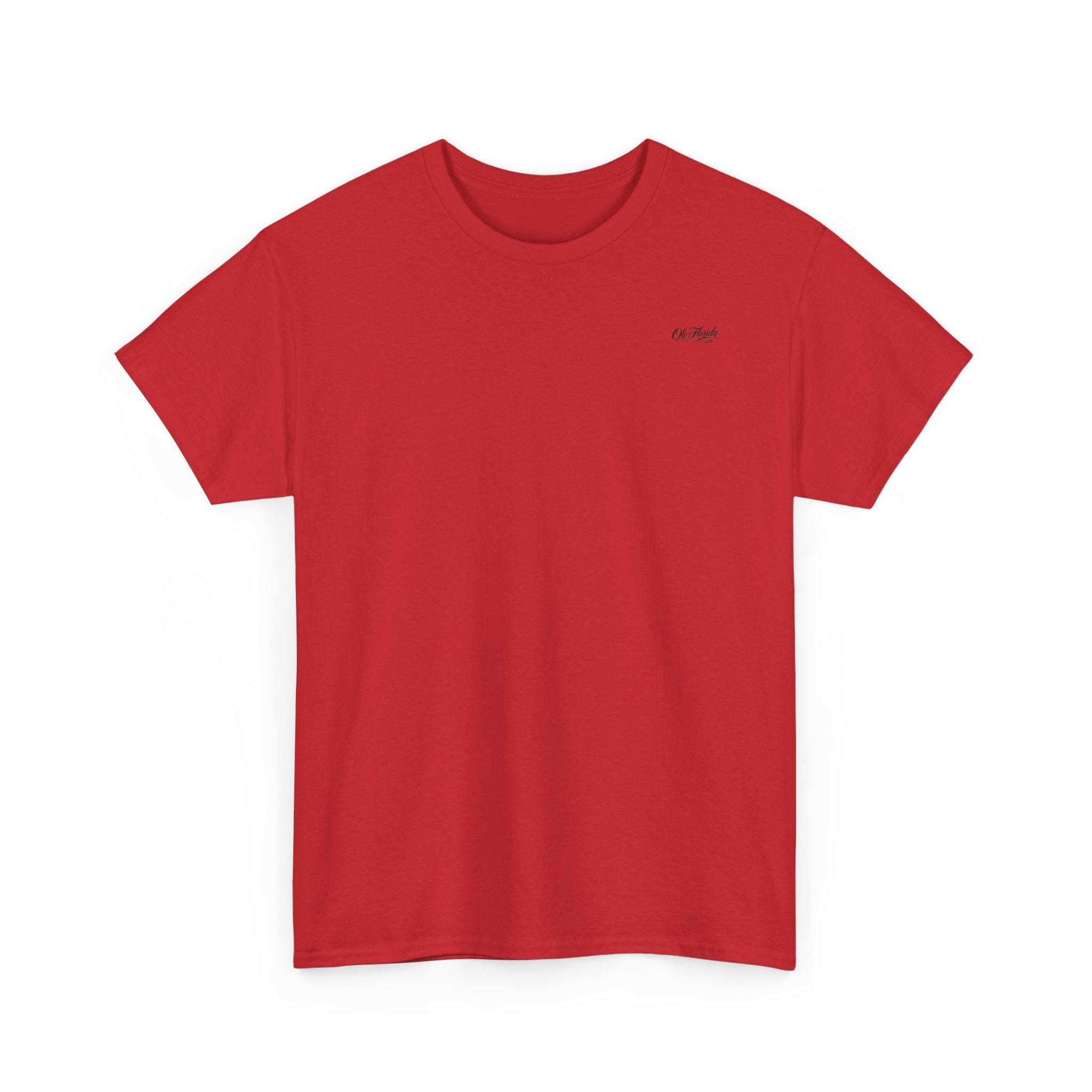 Flag Graphic Tee