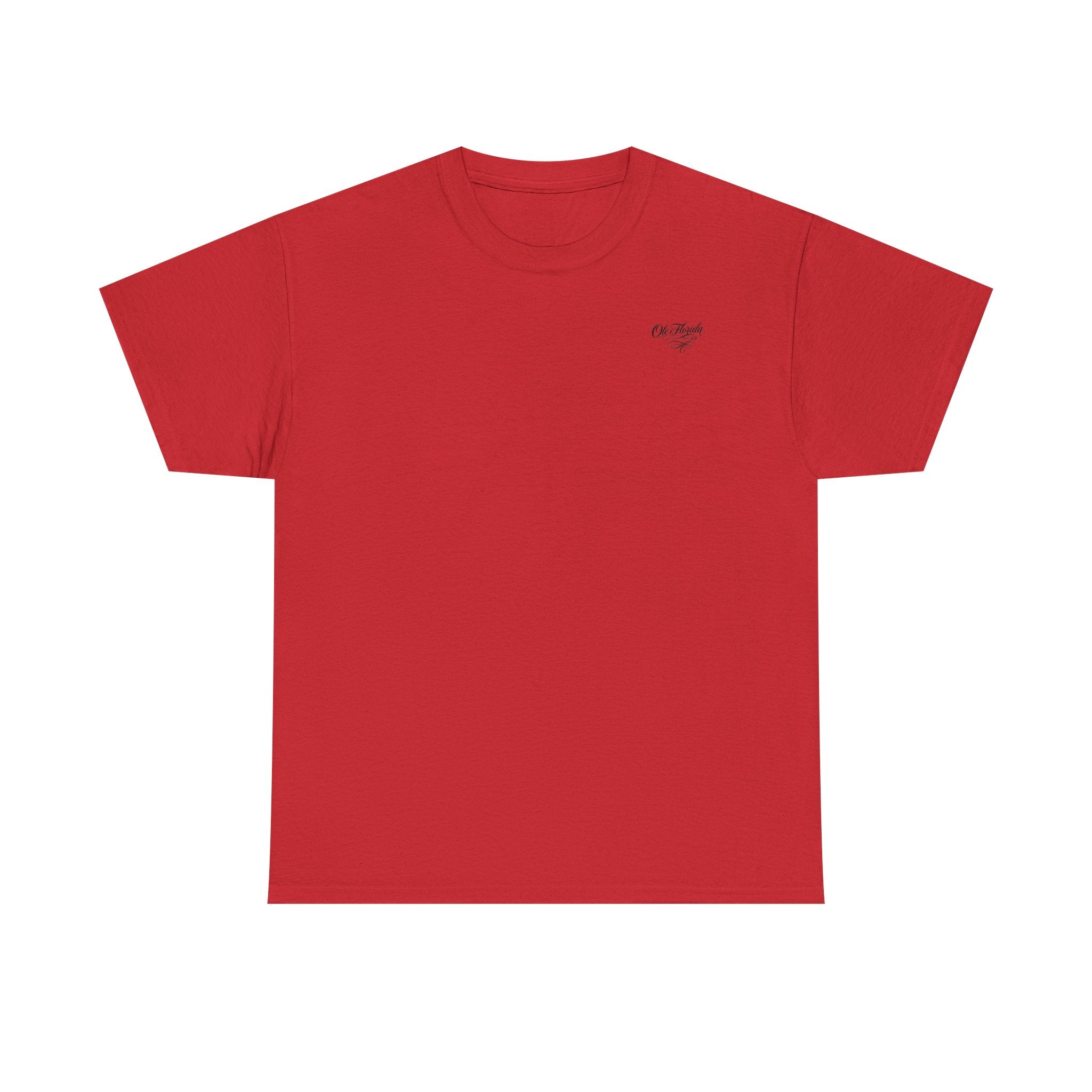 Flag Graphic Tee